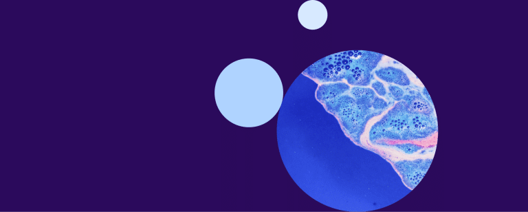 Why Digital Asset Management is non-negotiable for pharma marketers